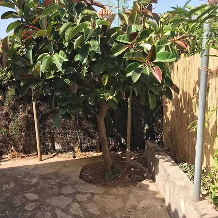 2 Bedrooms House With Shared Pool Terrace And Wifi At 2 Km Away From The Beach Denia